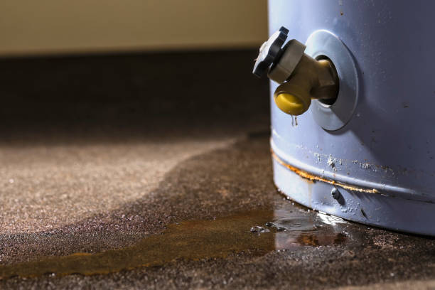 Best Flooded house restoration  in Willow Grove, TX