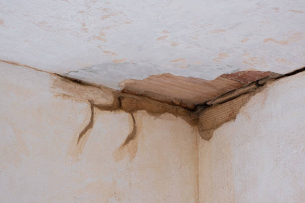 Best Ceiling water damage repair  in Willow Grove, TX